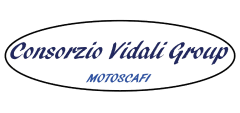 Consorzio Vidali Group