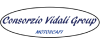 Consorzio Vidali Group