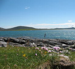 How to book a Ferry to Berneray