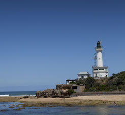 How to book a Ferry to Queenscliff