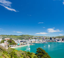 How to book a Ferry to Wellington