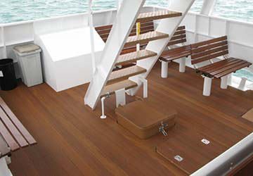 amakusa_takarajima_line_marisol_steps