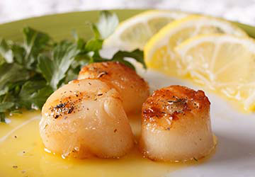 bay_ferries_the_cat_digby_scallops