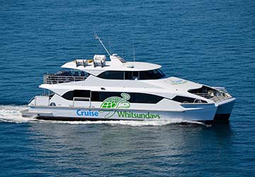 cruise_whitsundays_kingfish
