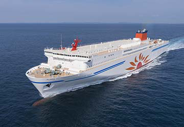 mol_ferry_sunflower_furano