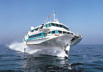 tane_yaku_jetfoil_toppy_2