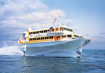 tane_yaku_jetfoil_toppy_3