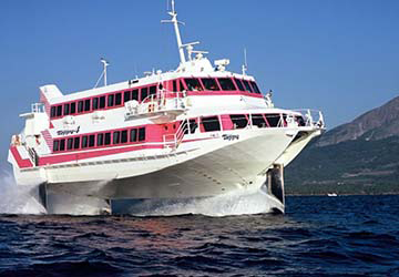 tane_yaku_jetfoil_toppy_7