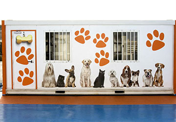 trasmediterranea_tenacia_kennel