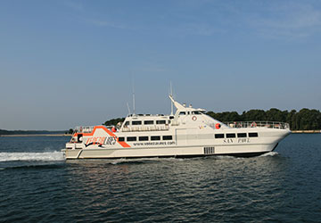 venezia_lines_san_pawl