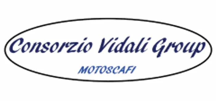 Consorzio Vidali Group logo