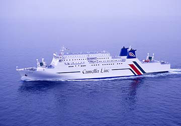 camellia_line_new_camellia