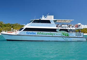 cruise_whitsundays_seahorse