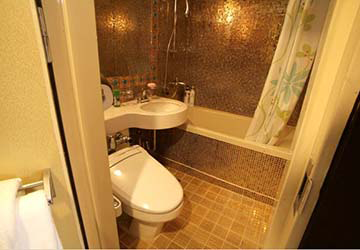 dbs_cruise_ferry_eastern_dream_president_bathroom