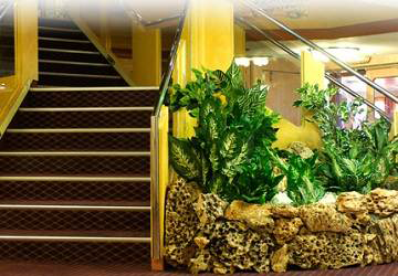 endeavor_lines_elli_t_stairwell