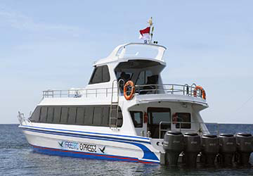 freebird_express_freebird_express