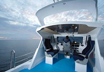 freebird_express_freebird_express_captain