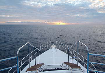 freebird_express_freebird_express_view