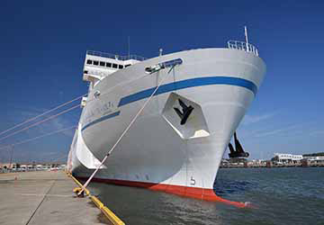 mol_ferry_sunflower_sapporo