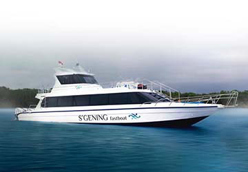 s_gening_fast_boat_s_gening_fast_boat