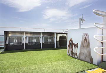 trasmediterranea_nura_nova_kennels
